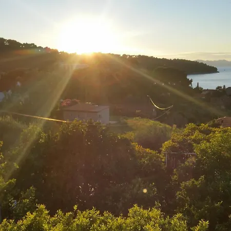 Storelli Πανσιόν