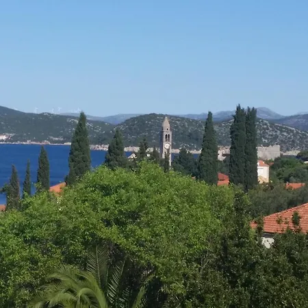 Storelli Πανσιόν 3*