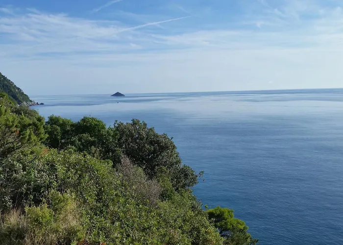 Storelli Pensjonat 3*